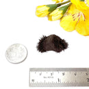 Lodestone (Grounding and Manifestation)