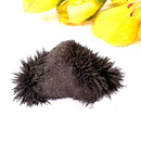 Lodestone (Grounding and Manifestation)