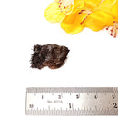 Lodestone (Grounding and Manifestation)