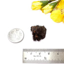 Lodestone (Grounding and Manifestation)