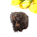 Lodestone (Grounding and Manifestation)