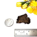 Lodestone (Grounding and Manifestation)