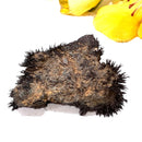 Lodestone (Grounding and Manifestation)