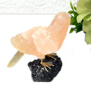 Crystal Love Birds in delightful colors from Peru