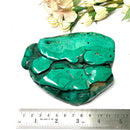 Malachite Medium Sized Free Forms