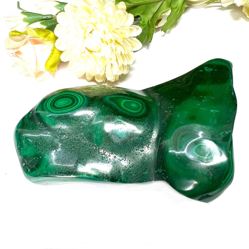 Malachite Medium Sized Free Forms