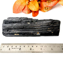 Elite Rough Black Tourmaline Medium Sized (Grounding & Protection)