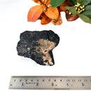 Elite Rough Black Tourmaline Medium Sized (Grounding & Protection)