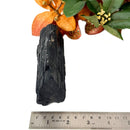 Elite Rough Black Tourmaline Medium Sized (Grounding & Protection)