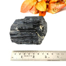 Elite Rough Black Tourmaline Medium Sized (Grounding & Protection)