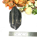 Elite Rough Black Tourmaline Medium Sized (Grounding & Protection)