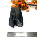 Elite Rough Black Tourmaline Medium Sized (Grounding & Protection)