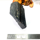 Elite Rough Black Tourmaline Medium Sized (Grounding & Protection)