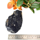 Elite Rough Black Tourmaline Medium Sized (Grounding & Protection)