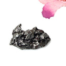 Meteorite Campo del Cielo