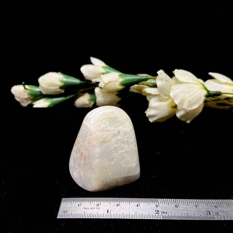 White Moonstone Freeforms (Divine Feminine Energy)