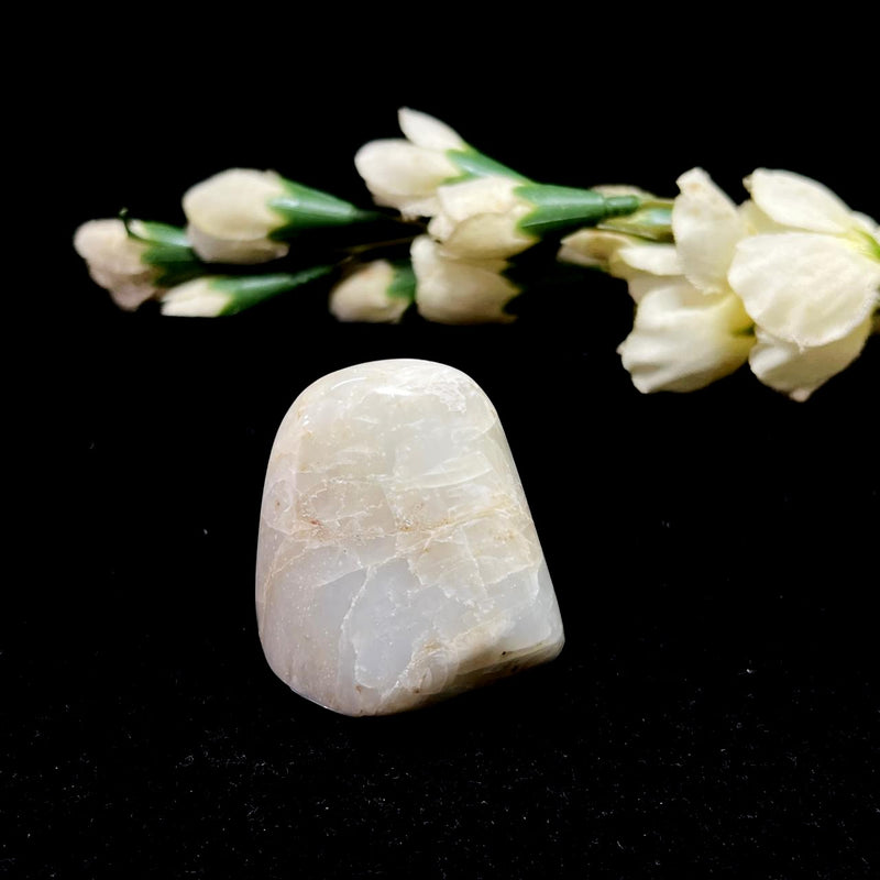 White Moonstone Freeforms (Divine Feminine Energy)