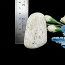 White Moonstone Freeforms (Divine Feminine Energy)