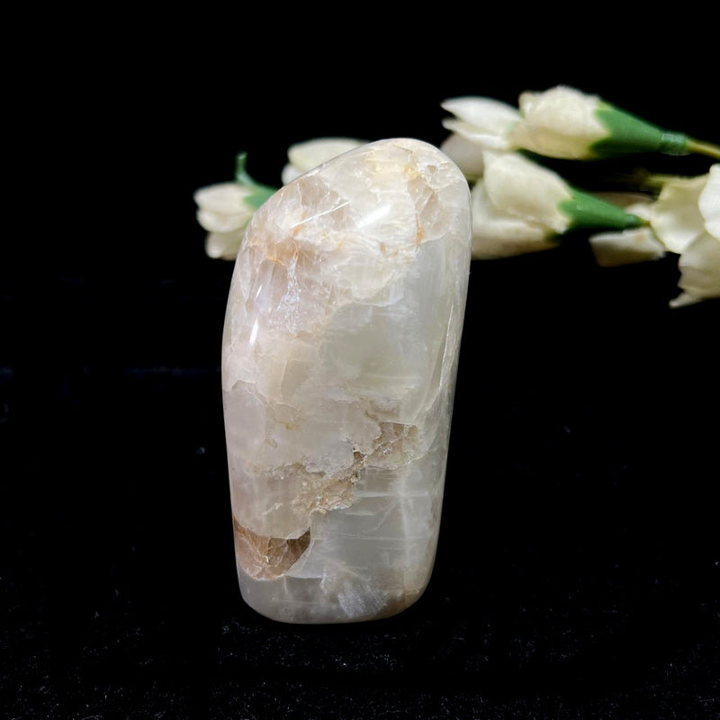 White Moonstone Freeforms (Divine Feminine Energy)