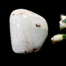 White Moonstone Freeforms (Divine Feminine Energy)