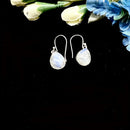 Moonstone Earrings in Silver
