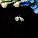 Moonstone Earrings in Silver