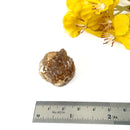 Natural Citrine from Morocco (Career Growth) (Not Heated)