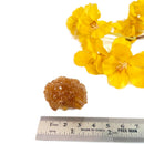 Natural Citrine from Morocco (Career Growth) (Not Heated)