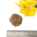 Natural Citrine from Morocco (Career Growth) (Not Heated)