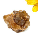 Natural Citrine from Morocco (Career Growth) (Not Heated)