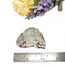 Muonionalusta Meteorite