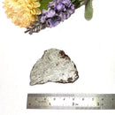 Muonionalusta Meteorite