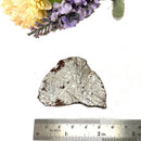 Muonionalusta Meteorite