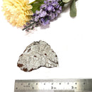 Muonionalusta Meteorite