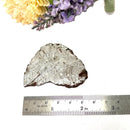 Muonionalusta Meteorite