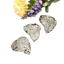 Muonionalusta Meteorite