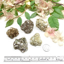 Muscovite Rough (Astral Travel)