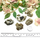 Muscovite Rough (Astral Travel)