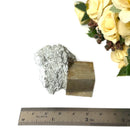 Navajun Pyrite Cube on Matrix Mineral Specimen