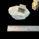 Navajun Pyrite Cube on Matrix Mineral Specimen