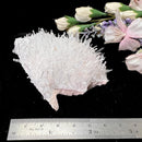 Needle Quartz Clusters from Colombia (Master Healers)