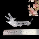 Needle Quartz Clusters from Colombia (Master Healers)