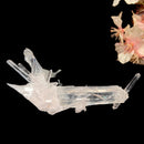 Needle Quartz Clusters from Colombia (Master Healers)