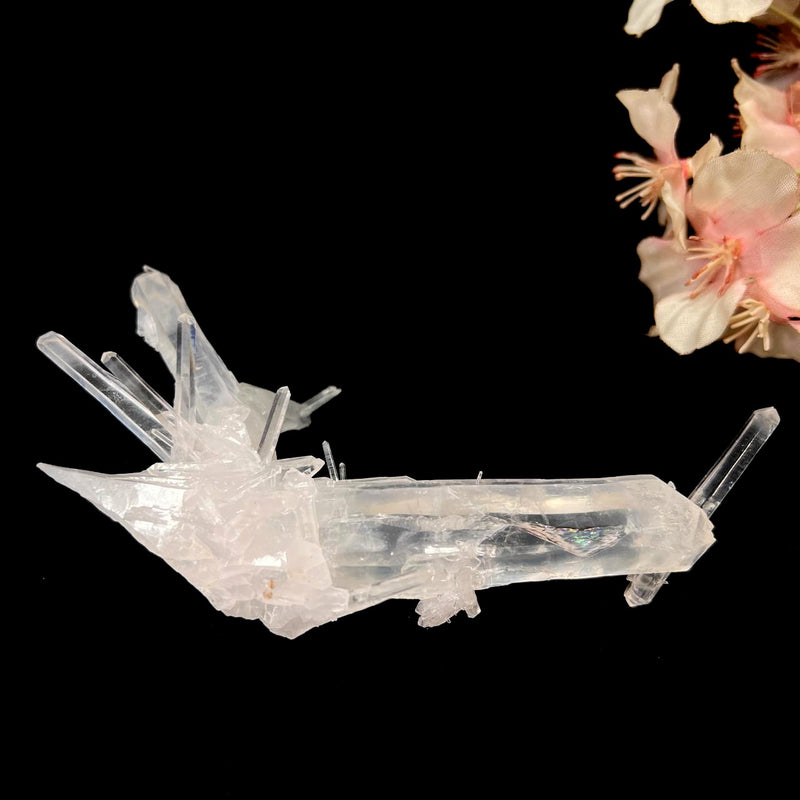 Needle Quartz Clusters from Colombia (Master Healers)