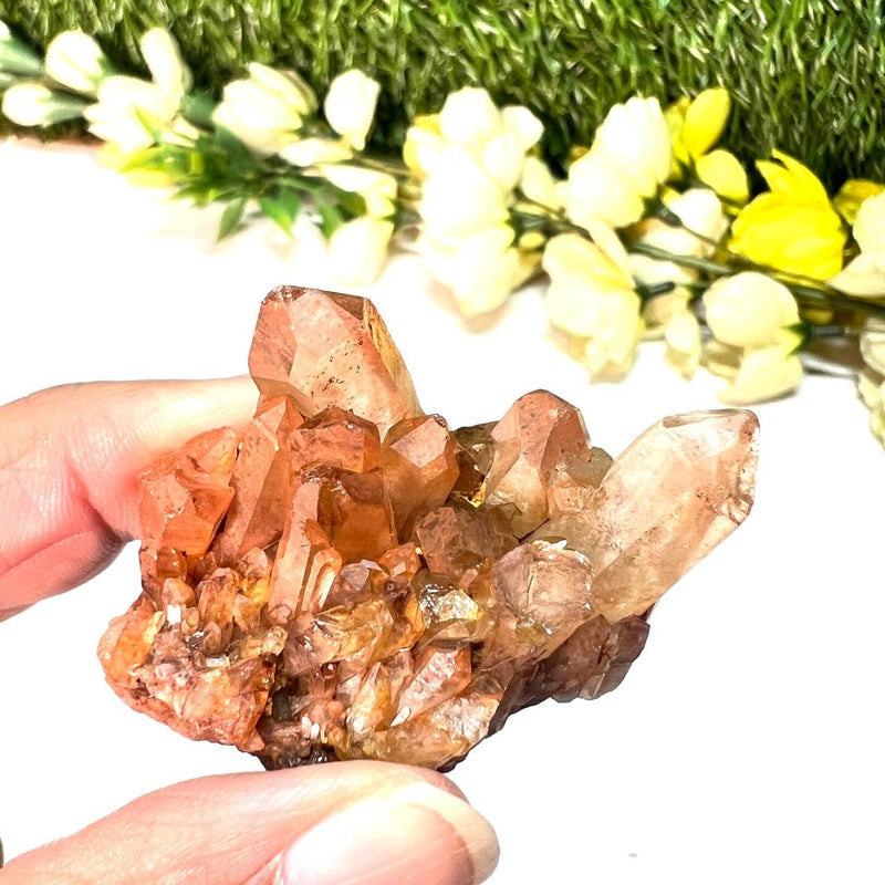 Natural Citrine Clusters from Nigeria (Career) (Not Heated)