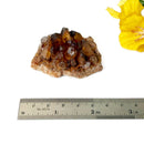 Natural Citrine Clusters from Nigeria (Career) (Not Heated)