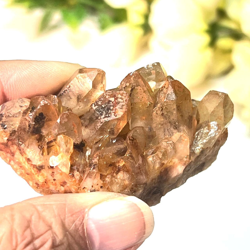 Natural Citrine Clusters from Nigeria (Career) (Not Heated)