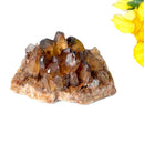 Natural Citrine Clusters from Nigeria (Career) (Not Heated)