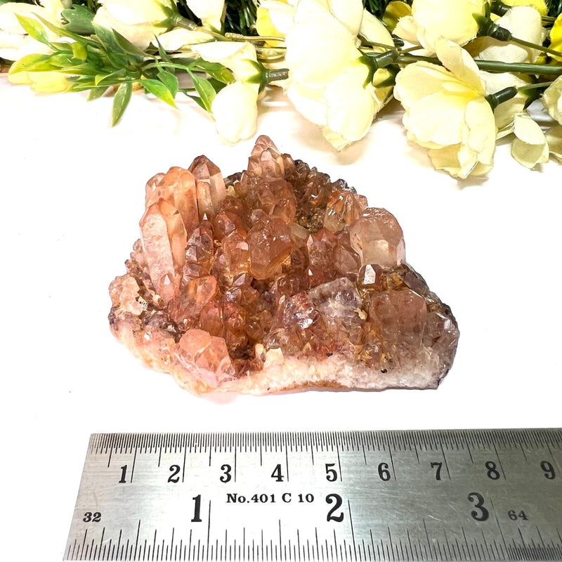 Natural Citrine Clusters from Nigeria (Career) (Not Heated)