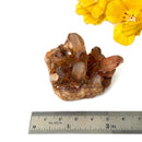 Natural Citrine Clusters from Nigeria (Career) (Not Heated)